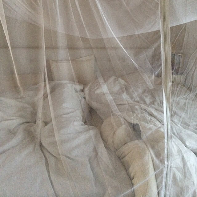 konakonaさんの実例写真