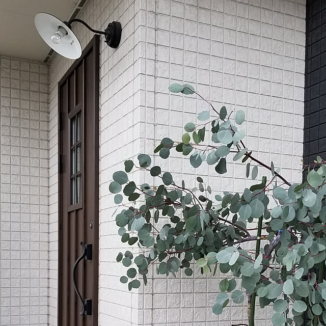sanaさんの実例写真