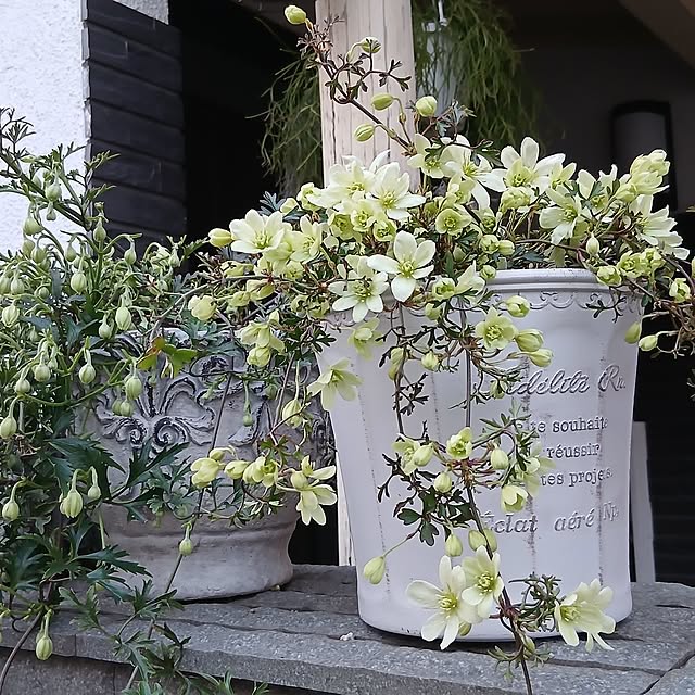 tomomiさんの実例写真