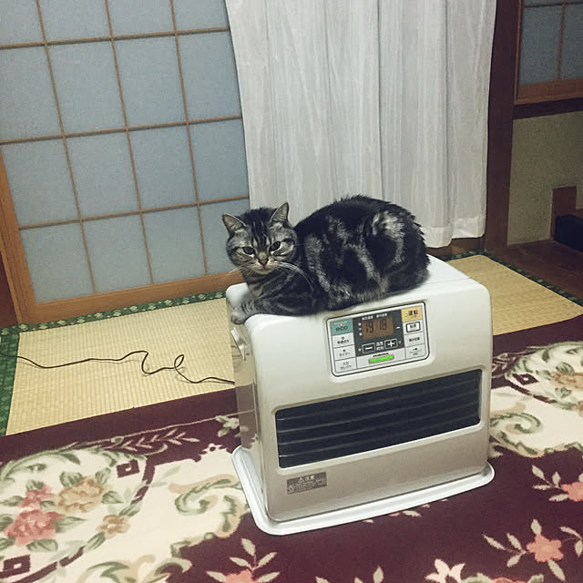 richanさんの実例写真