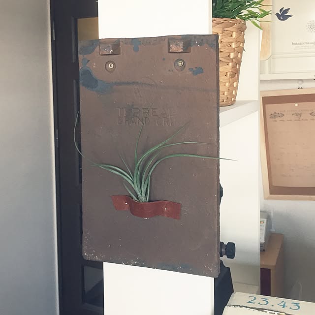 bananeさんの実例写真