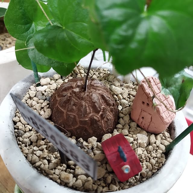 yasue.ichnoさんの部屋