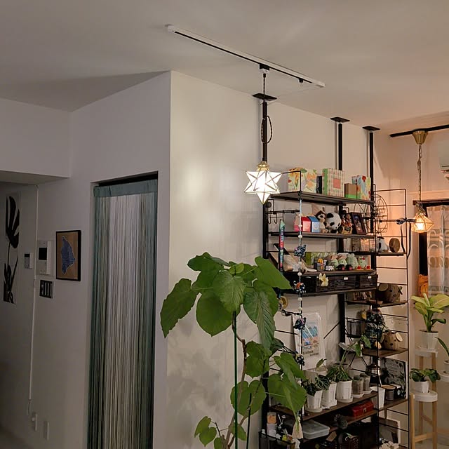 kolo92さんの実例写真