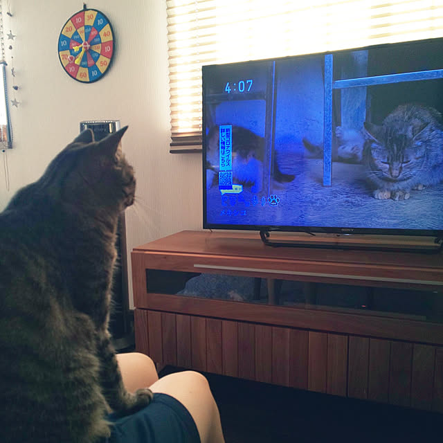 komugiさんの実例写真