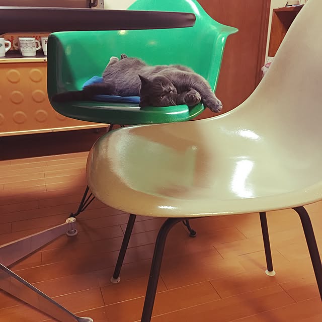 Shojiさんの実例写真