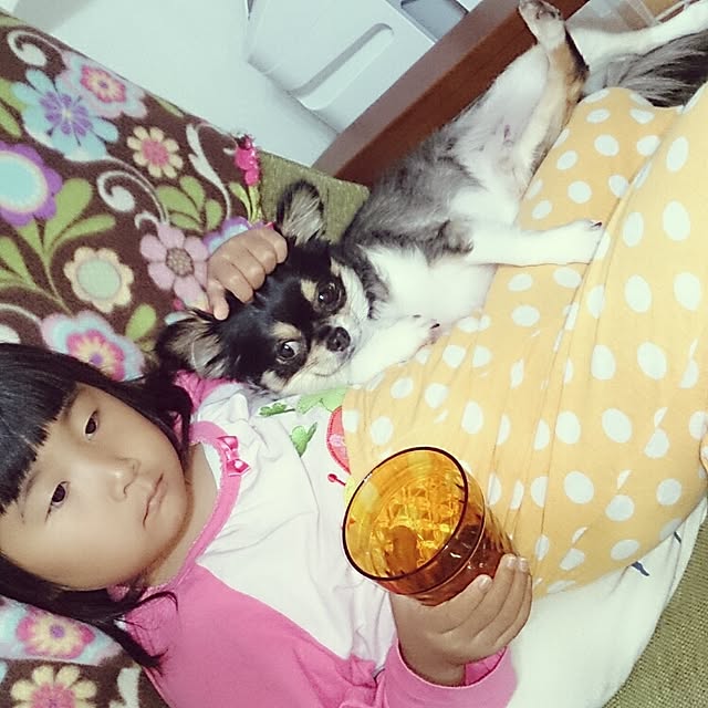Chihiroさんの実例写真