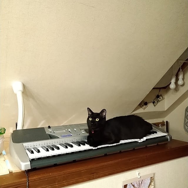 Tさんの実例写真
