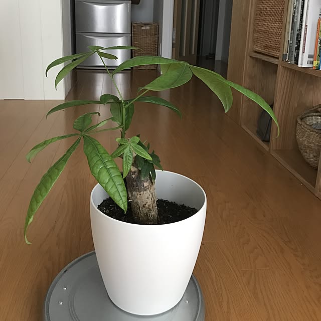pontaさんの実例写真