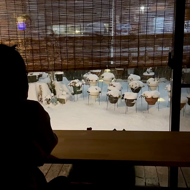 rail2railsさんの部屋