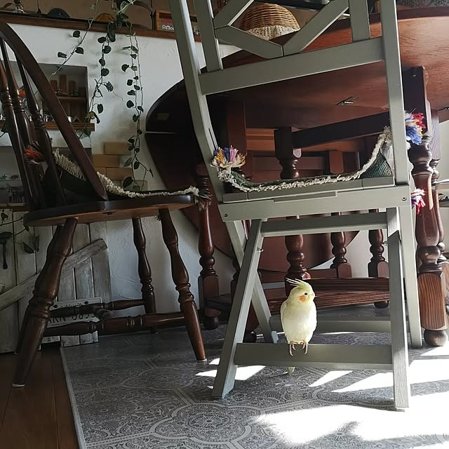 akiさんの部屋