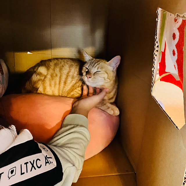 tomorinさんの部屋