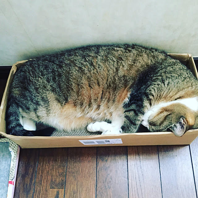 LEOさんの実例写真