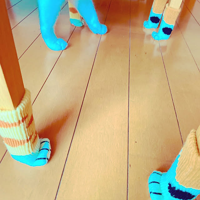 moolさんの実例写真