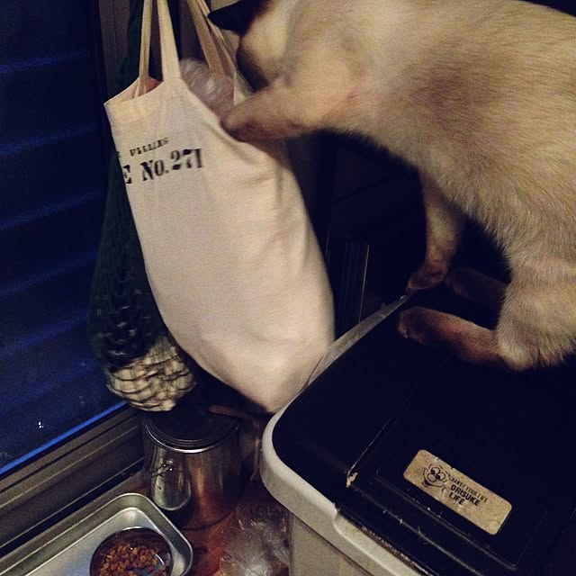 NAOさんの実例写真