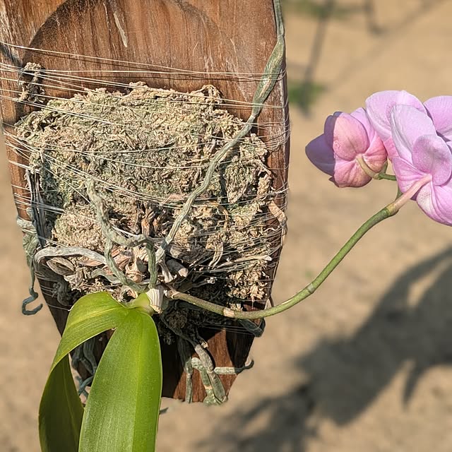 ot-gardenさんの部屋
