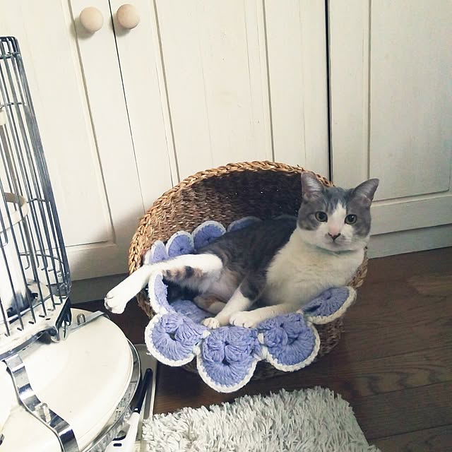 kurumiさんの実例写真
