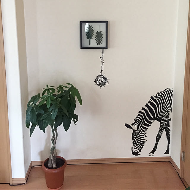kaiwaさんの実例写真