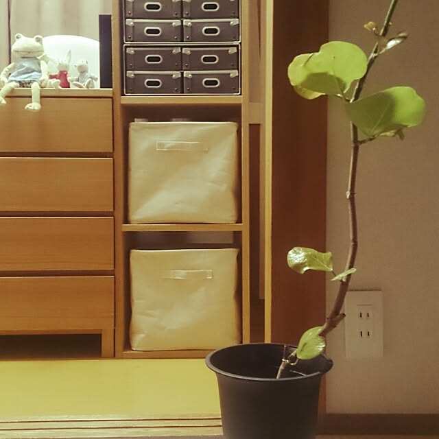 m.r.iさんの実例写真