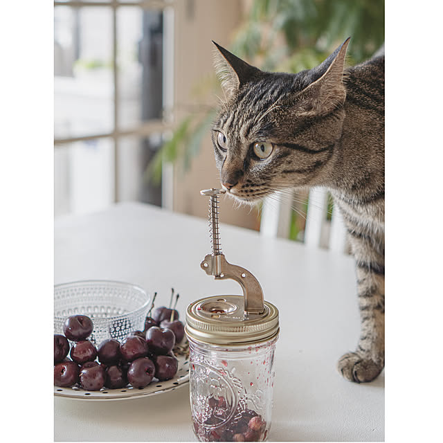 oliveさんの部屋