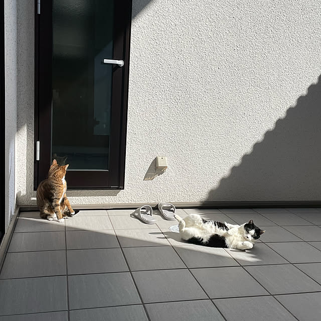 maruさんの実例写真