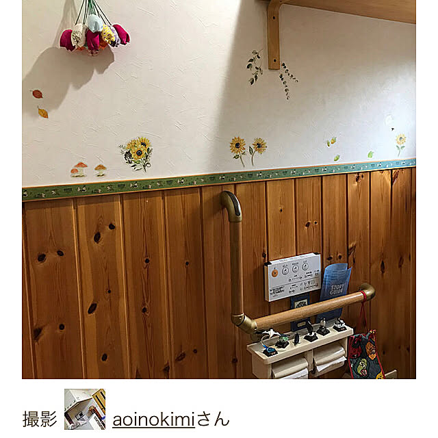 aoinokimiさんの実例写真