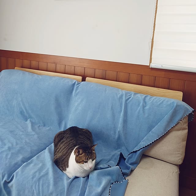 nachiさんの部屋