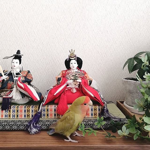 so-bokuさんの部屋