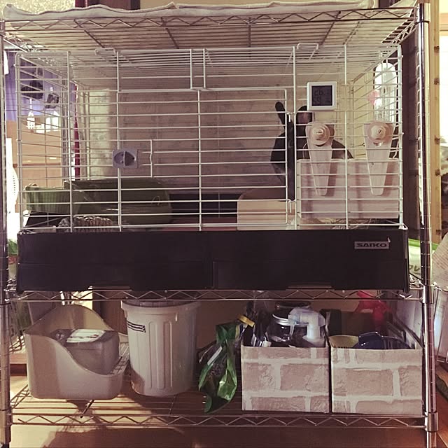 totomitocha14さんの実例写真