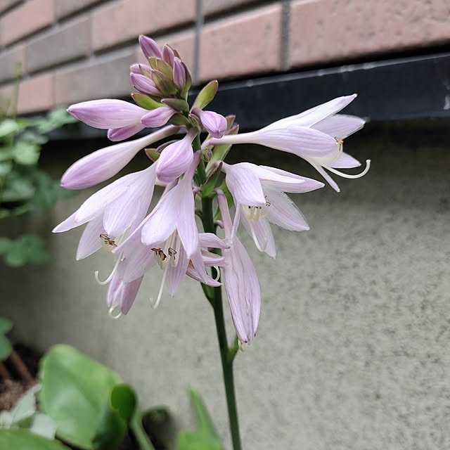 kiraさんの部屋