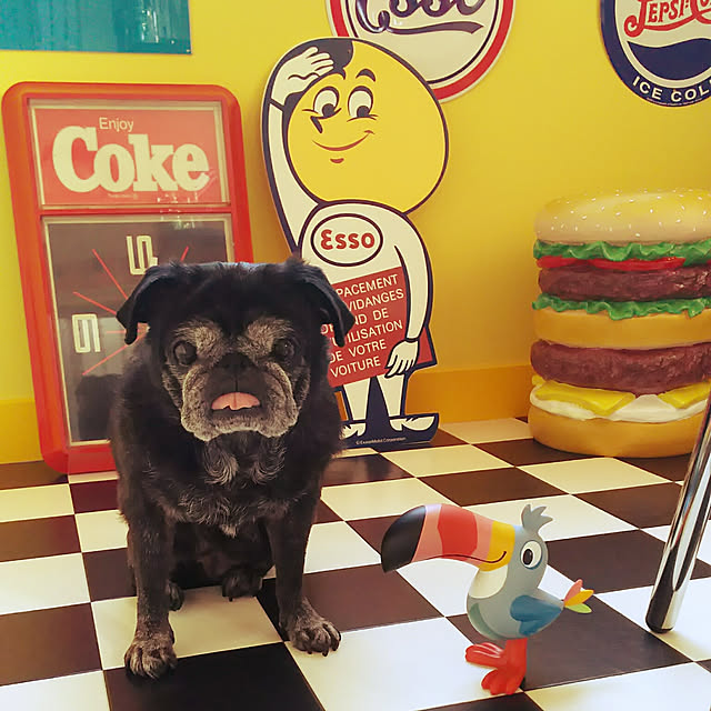 kuupugさんの実例写真