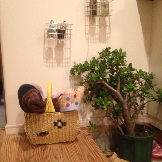 izuhanさんの実例写真