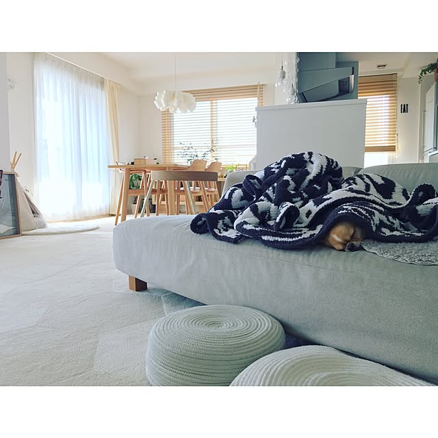 haruhinaさんの実例写真