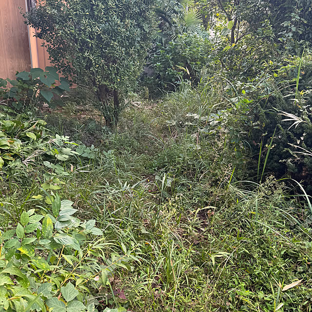 okyosan101さんの部屋