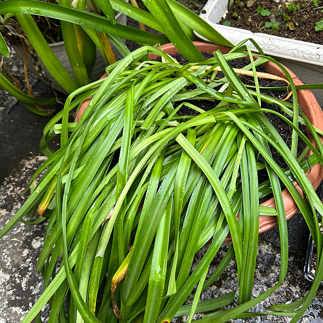 fumikoiさんの部屋