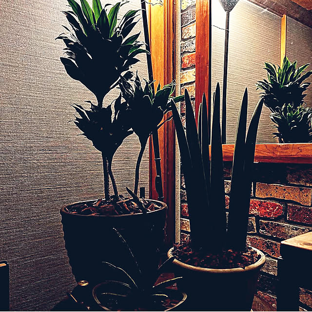 noriさんの部屋