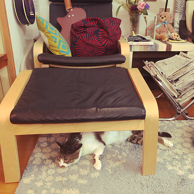 jijiさんの実例写真
