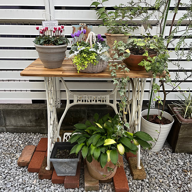 felicityさんの実例写真