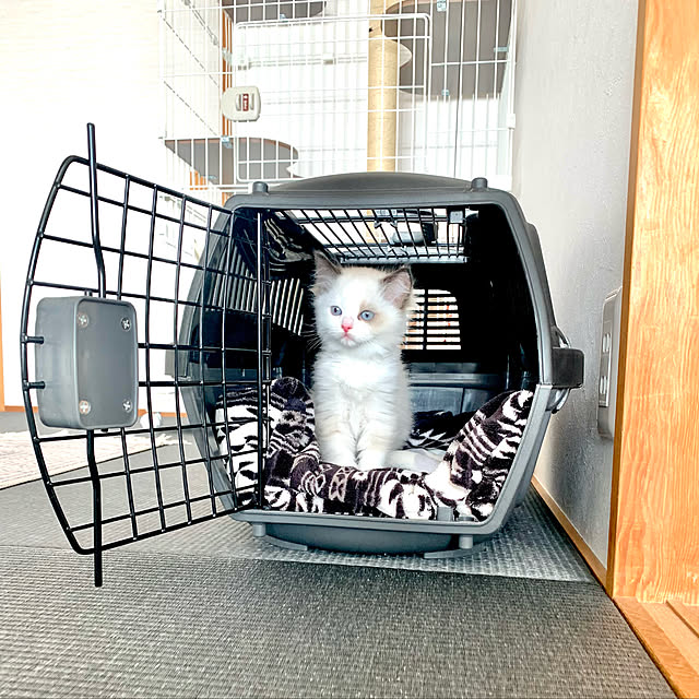 Micccaさんの実例写真