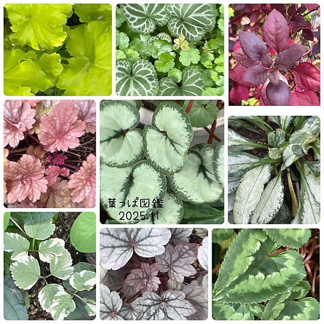 buchiさんの部屋