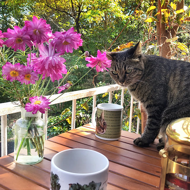 weさんの実例写真