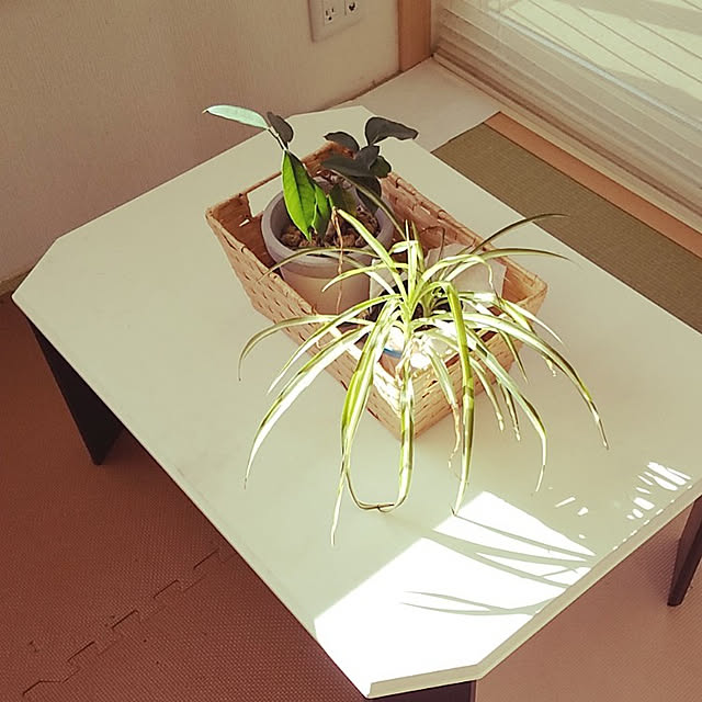 YuKwnさんの実例写真