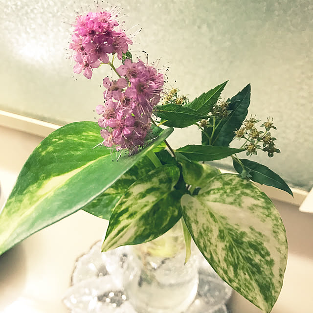 flowerさんの実例写真