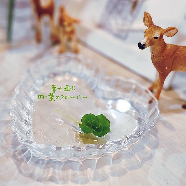 r0siereさんの実例写真