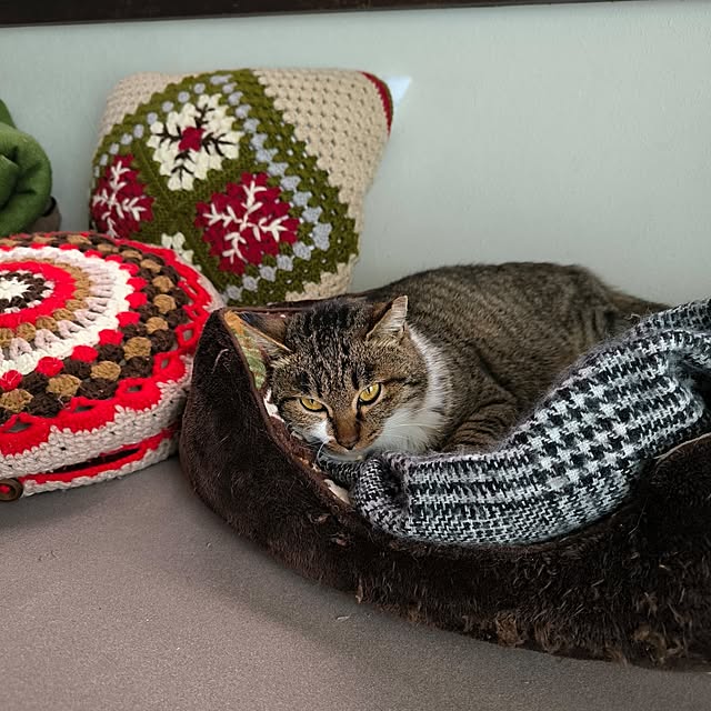 koyutan-mjmさんの部屋