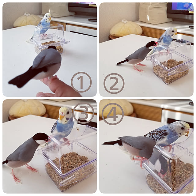 miiさんの実例写真