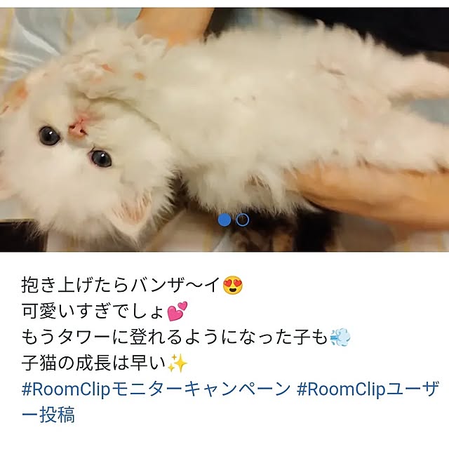 makaronさんの実例写真
