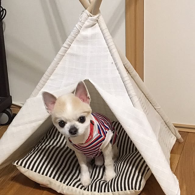 mtk_homeさんの実例写真