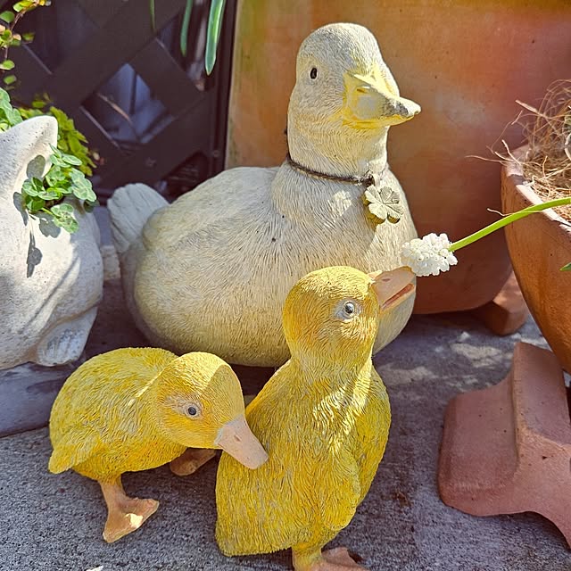 mocomocoさんの部屋