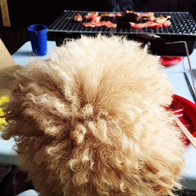 Bossさんの実例写真