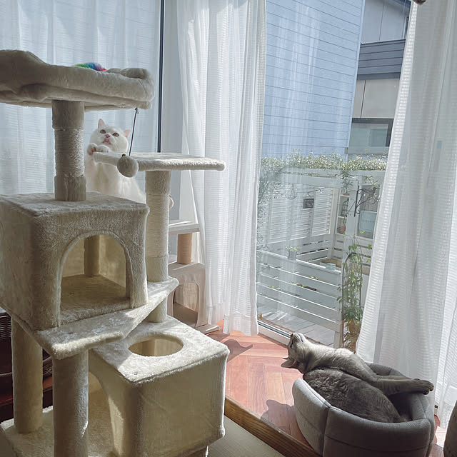 kotoriさんの部屋